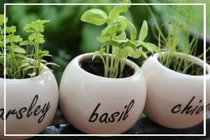 August 29 - More Herbs, Less Salt Day