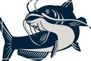 National Catfish Month