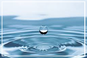 Water Quality Month