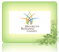 Brooklyn Botanical Garden