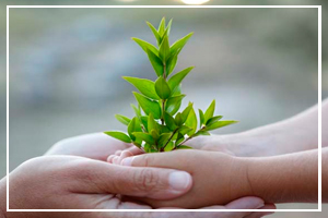 June 5 - World Environment Day