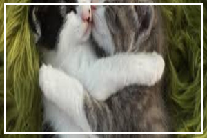 June 29 - Hug Holiday