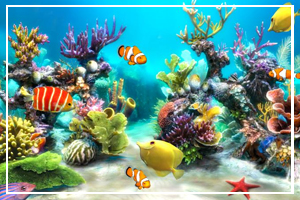 Aquarium Month