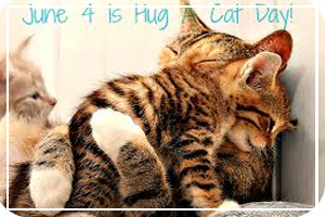 June 4 - Hug Your Cat Day